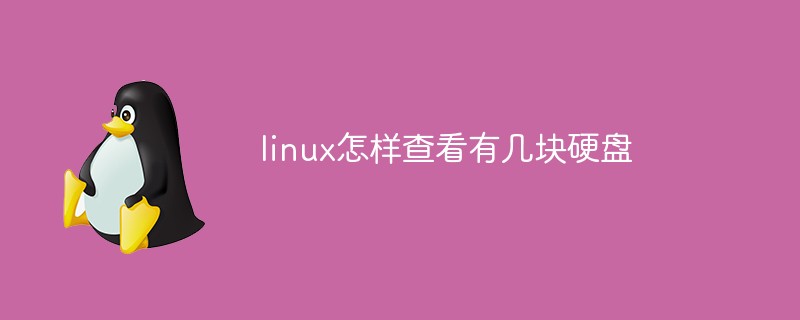 linux怎样查看有几块硬盘第1张