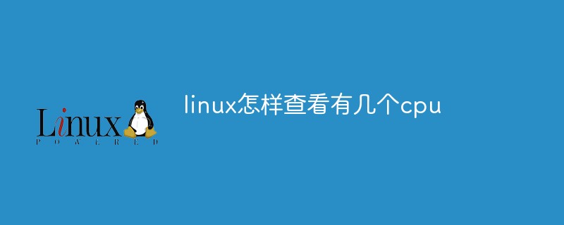 linux怎样查看有几个cpu第1张