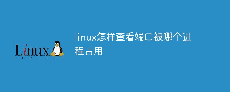 linux怎样查看端口被哪个进程占用第1张