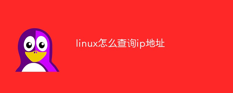 linux怎么查询ip地址第1张