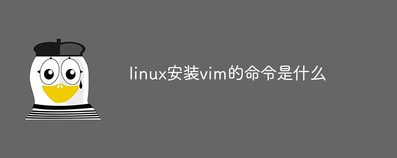 linux安装vim的命令是什么第1张