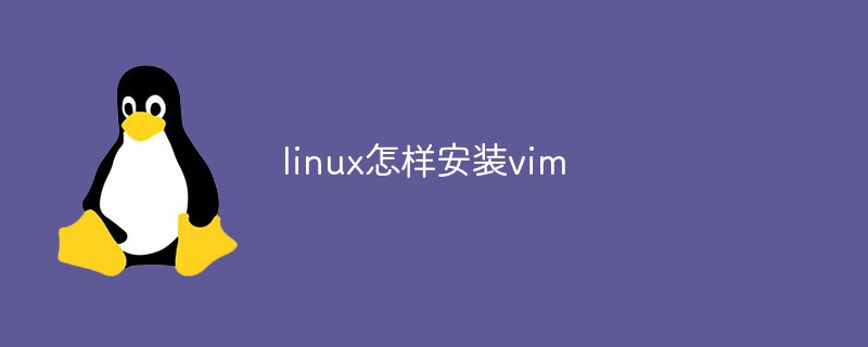 linux怎样安装vim第1张