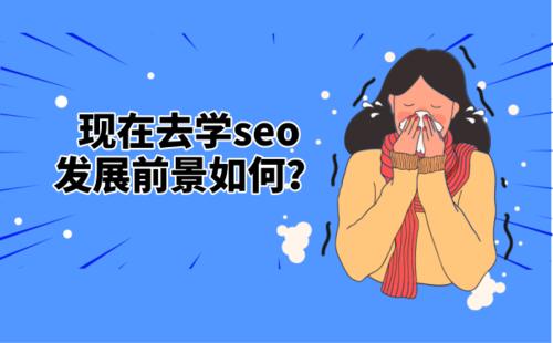 seo的前景如何，seo前景怎么样第1张