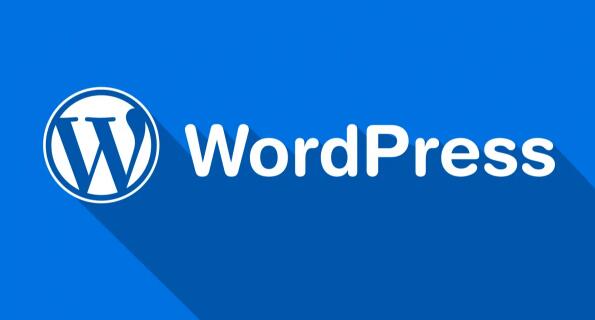 如何将WordPress中文tag标签改为ID显示第1张