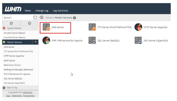 Hostwinds服务器教程：WHM面板上如何重启DNS服务第2张